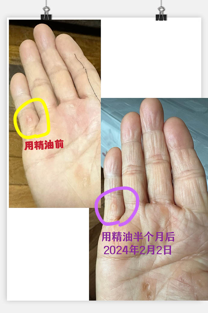 微信图片_20240203235031.jpg